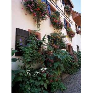  Flower Filled Village Street, Eguisheim, Haut Rhin, Alsace 
