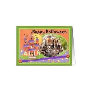 Bengal Cat Halloween Greeting Card Card