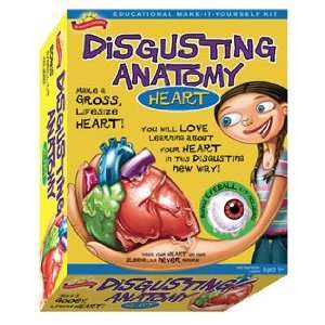  Anatomy   Heart Toys & Games