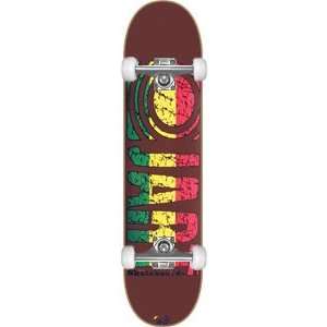  Jart Rasta Logo Complete Skateboard   7.75 Brown w/Raw 