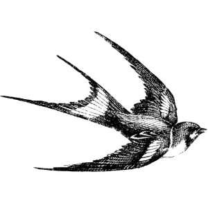  Swallow bird rubber stamp Arts, Crafts & Sewing