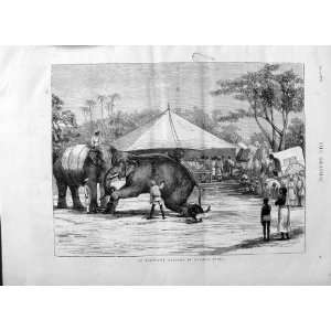  1875 ELEPHANT AUCTION MYSORE INDIA SALE ANIMALS PRINT 