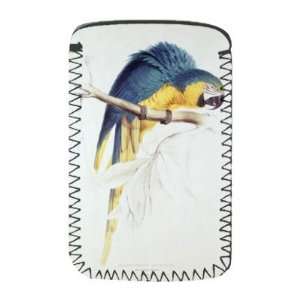  Blue and yellow Macaw (colour engraving) by   Protective 