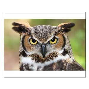  Small Poster Great Horned Owl 