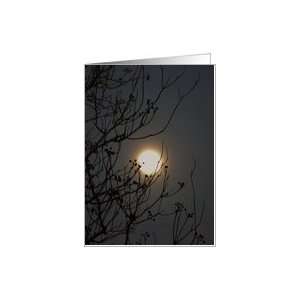  Blank card, Full Moon through tree Card Health & Personal 