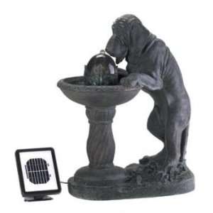 Thirsty Dog Solar Fountain 