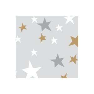  Delivery or Doorknob Plastic Bags Star Design: Home 