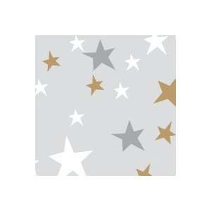  Delivery or Doorknob Plastic Bags Star Design