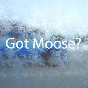  Got Moose? White Decal Hunt Hunting Elk Antlers Car White 