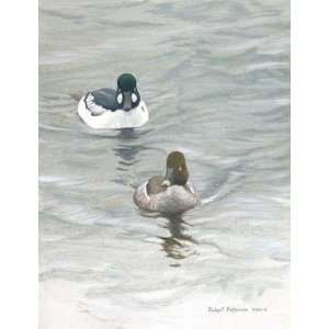  Robert Bateman   Goldeneye Pair