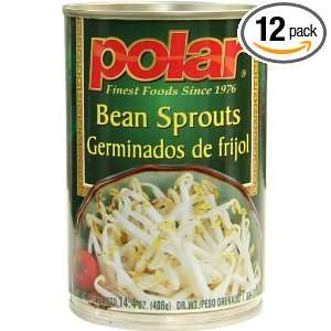 MW Polar Foods Bean Sprouts, 15 Ounce Grocery & Gourmet Food