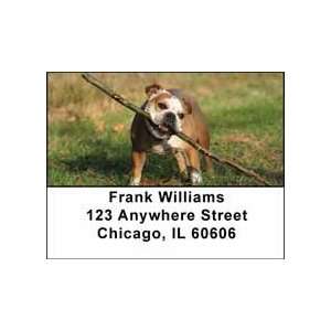  Bulldogs Address Labels: Office Products