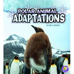   Books: Amazing Animal Adaptations) [Paperback]: Lisa Jo Amstutz: Books