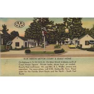  Motor Court Shelbyville Tennessee Post Card 50s 