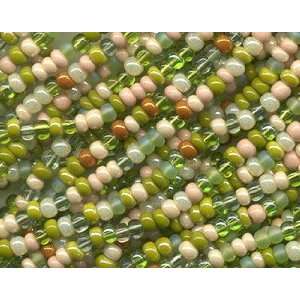  6/0 Farmers Market Color Mix Seed Beads Arts, Crafts 