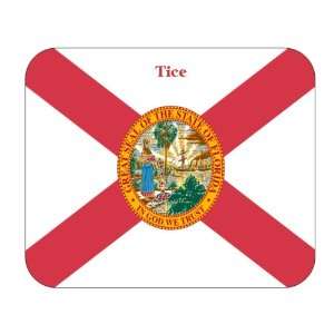  US State Flag   Tice, Florida (FL) Mouse Pad: Everything 