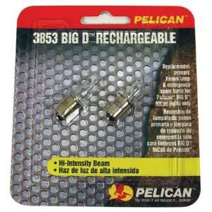   Lamps for Pelican Big D Rechargable System (1 Each)