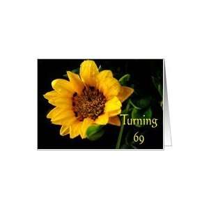  69th Birthday, yellow Gazania Card Toys & Games