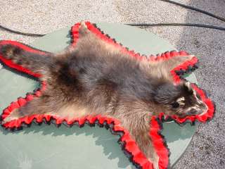 Raccoon Rug for Hunting Cabin/lodge Decor Fur skin hide  