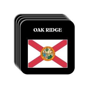  US State Flag   OAK RIDGE, Florida (FL) Set of 4 Mini 