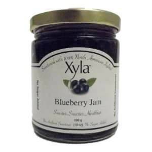Xyla Brand Blueberry Xylitol Jam  Grocery & Gourmet Food