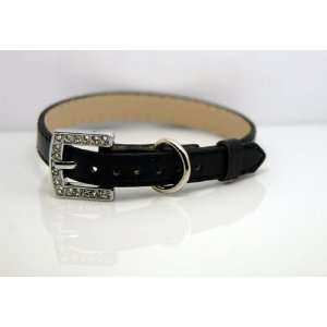   Grade Crystal Collar for Cat/dog with Diamante Buckle: Everything Else