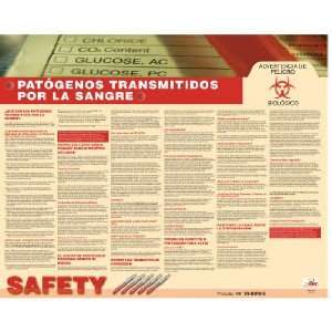  POSTERS BLOODBORNE PATHOGENS SPANISH