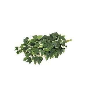  Silk Flowers english ivy 26x132 green varigated: Home 