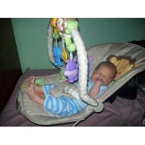  Fisher Price Precious Planet Playtime Bouncer: Baby