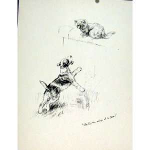   Cat Dog Chase Chasing Sketch Pencil Drawing Fine Art