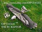 Painted EPP EAGLE   Snow Eagle Color