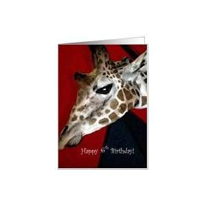  Happy 6th Birthday, Big Time Giraffe Card: Toys & Games