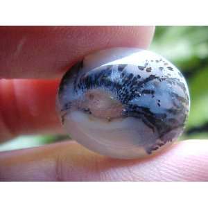  A6010 Gemqz Dendrite Agate Oval Cabochon From Indonesia 