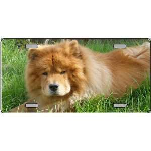  Chow Chow Dog Pet Novelty License Plate 