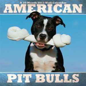  American Pit Bulls 2013 Wall Calendar: Office Products