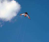 New stunt kite dual line 73 sport kite trick outdoor activity park 