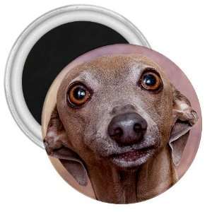Italian Greyhound 3 3in Magnet S0700