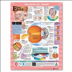 YOUR EYES CHART  Industrial & Scientific