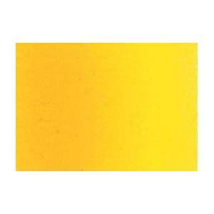   Artists Oil Color 40 ml Tube   Still de Grain Yellow: Home & Kitchen