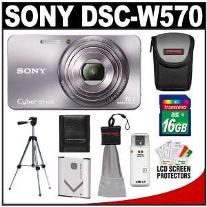  Sony Cyber Shot DSC W570 Digital Camera (Silver) with 16GB 