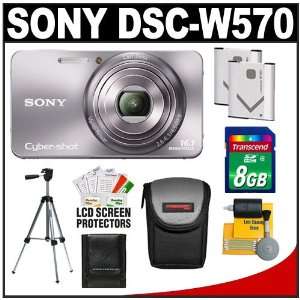 Sony Cyber Shot DSC W570 Digital Camera (Silver) with 8GB 