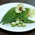 Lee Okra 1 lb 8000 seeds pk. items in Dempsey Seed Store  