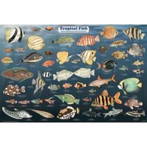   Tropical Fish Educational Science Chart Poster