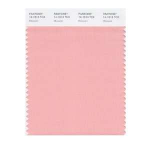  PANTONE SMART 14 1513X Color Swatch Card, Blossom: Home 