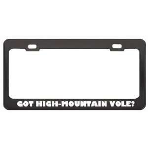 Got High Mountain Vole? Animals Pets Black Metal License Plate Frame 