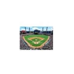  Chicago White Sox Stadium Puzzle 100 piece: Toys & Games