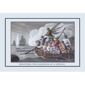 Shooting the Harpoon at a Whale   12x18 Framed Print in Gold Frame 