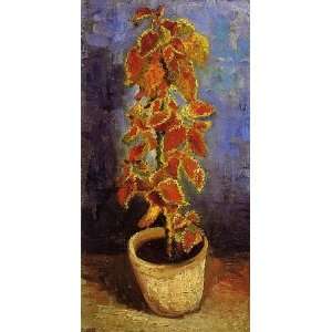   , painting name   Coleus Plant in a Flower Pot By Gogh Vincent van