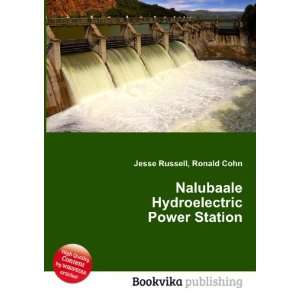   Hydroelectric Power Station Ronald Cohn Jesse Russell Books