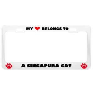 Singapura Cat Pet White Metal License Plate Frame Tag Holder